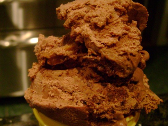 Chocolate Peanut Butter Swirl Coconut Milk Ice Cream